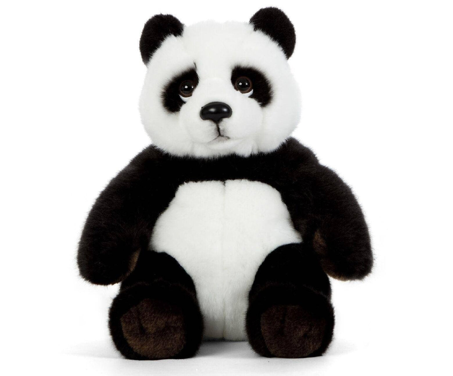 25cm Teddy Bear